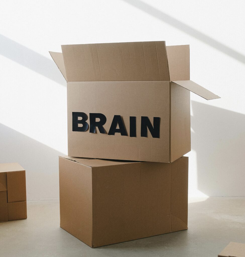 Filosofía Budista en vaemptîness